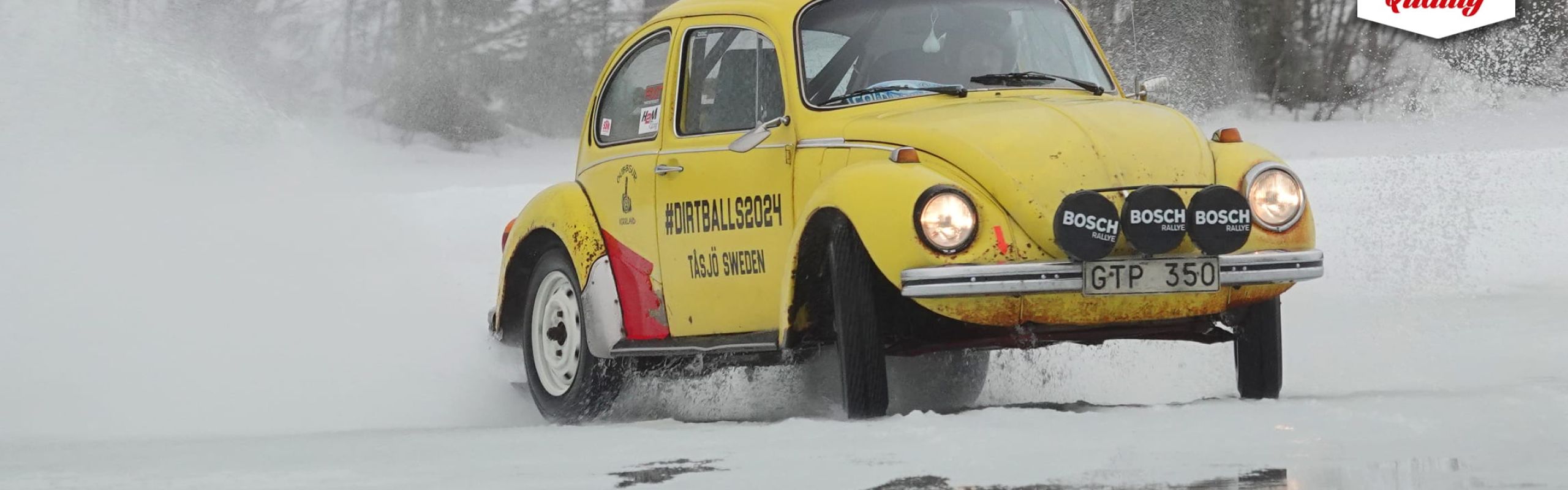 Movie: Cold Balls 2024